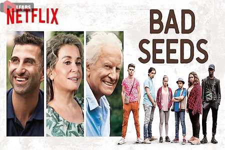Bad Seeds