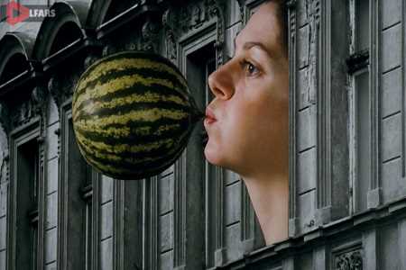 Surviving Life (Theory and Practice)