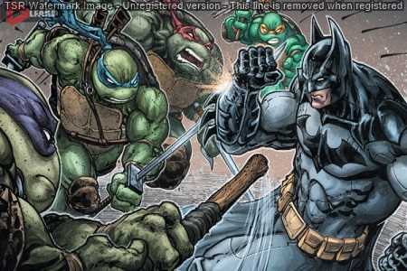 Batman vs Teenage Mutant Ninja Turtles