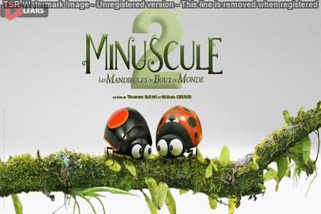 Minuscule - Mandibles from Far Away