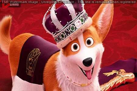 The Queen's Corgi