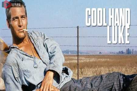 Cool Hand Luke