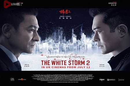 The White Storm 2: Drug Lords