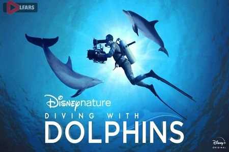 Diving with Dolphins