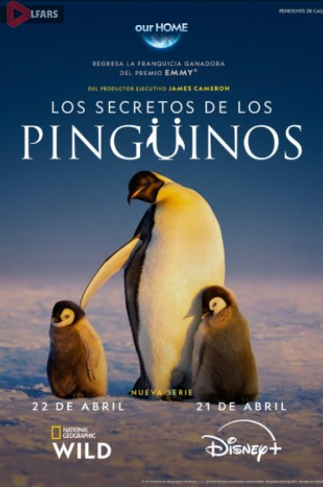 Secrets of the Penguins
