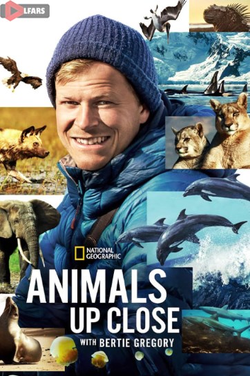 Animals Up Close with Bertie Gregory