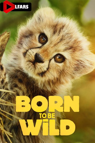 متولد حیات وحش