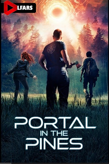 پورتال در کاج‌ها